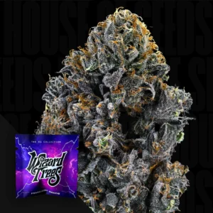 Big Z Wizard Trees Samen Kaufen